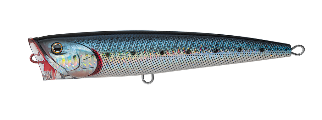 SALTIGA DORADO POPPER