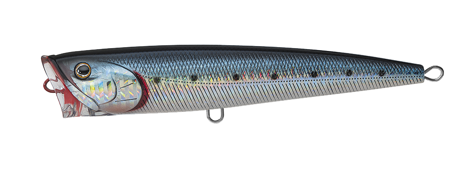 SALTIGA DORADO POPPER