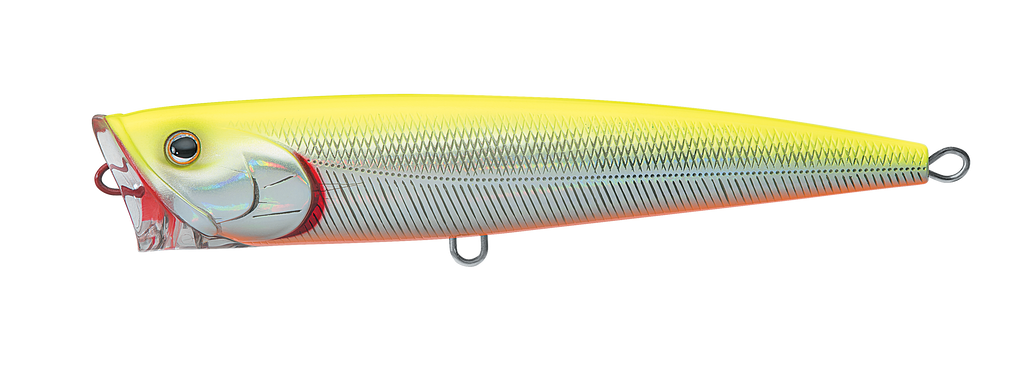 SALTIGA DORADO POPPER