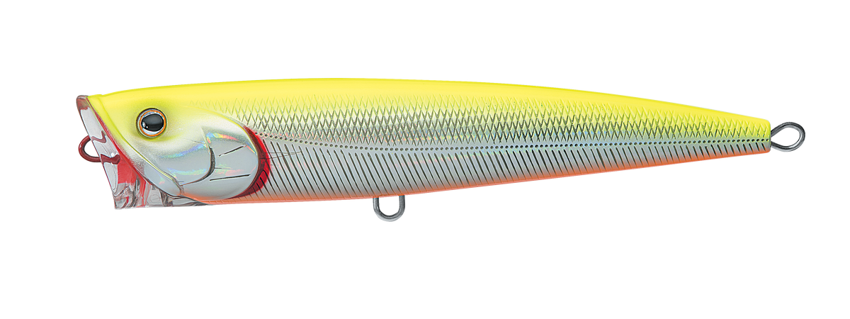 SALTIGA DORADO POPPER