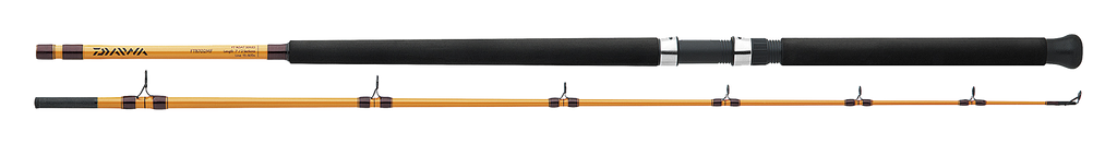 FT BOAT & SURF RODS