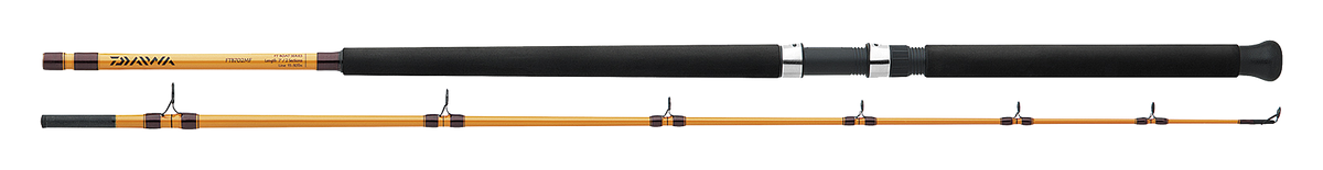 FT BOAT & SURF RODS