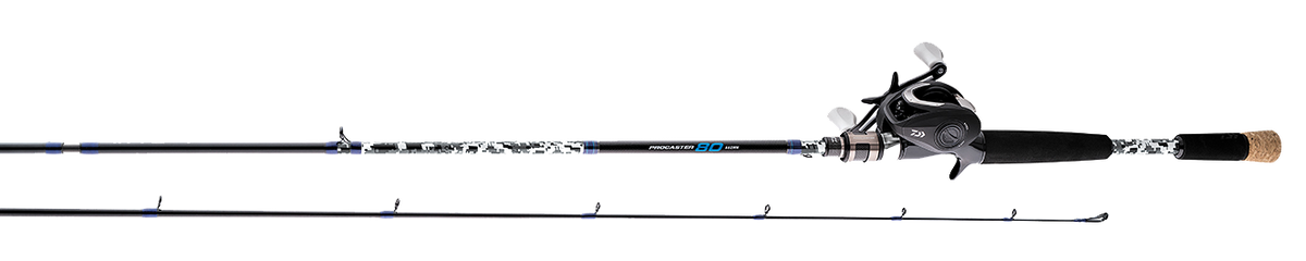 PROCASTER 80 SYSTEM