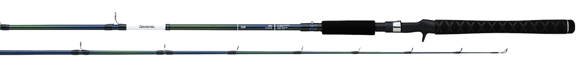 RG WALLEYE RODS