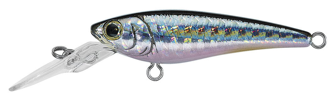 SC SHAD