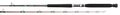 V.I.P. A SALTWATER RODS