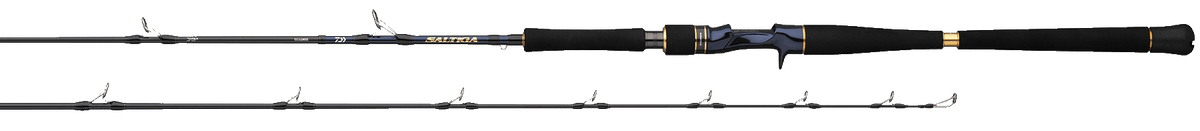 SALTIGA JIGGING RODS